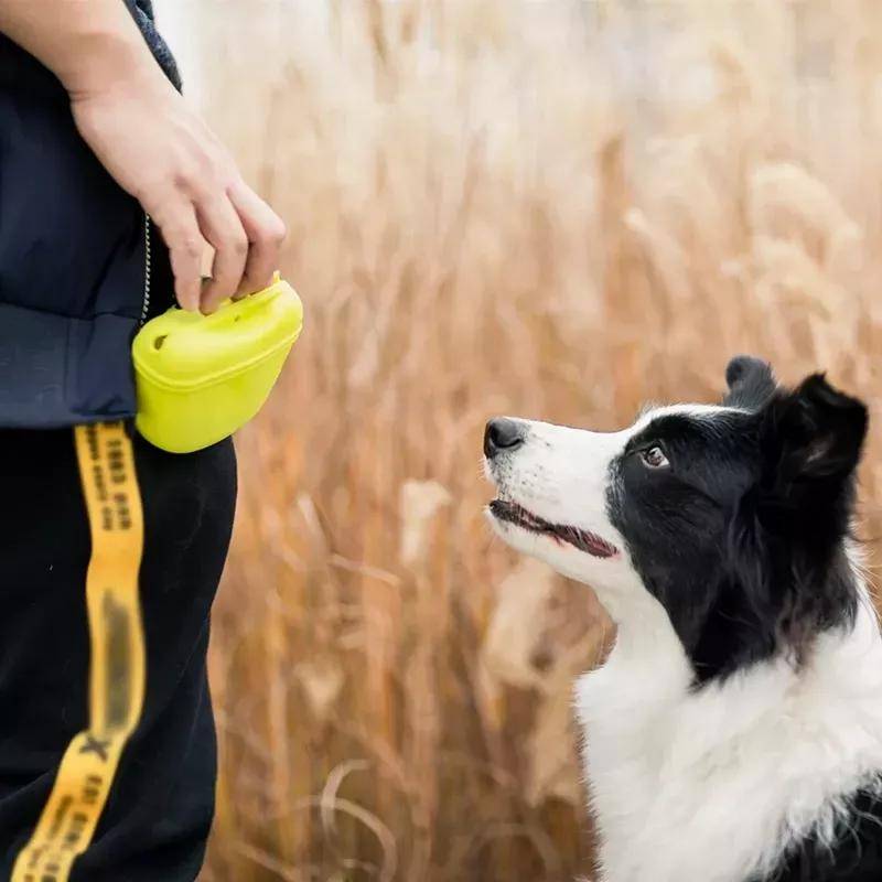Compact & Durable Dog Training Treat Pouch Compact & Durable Dog Training Treat Pouch